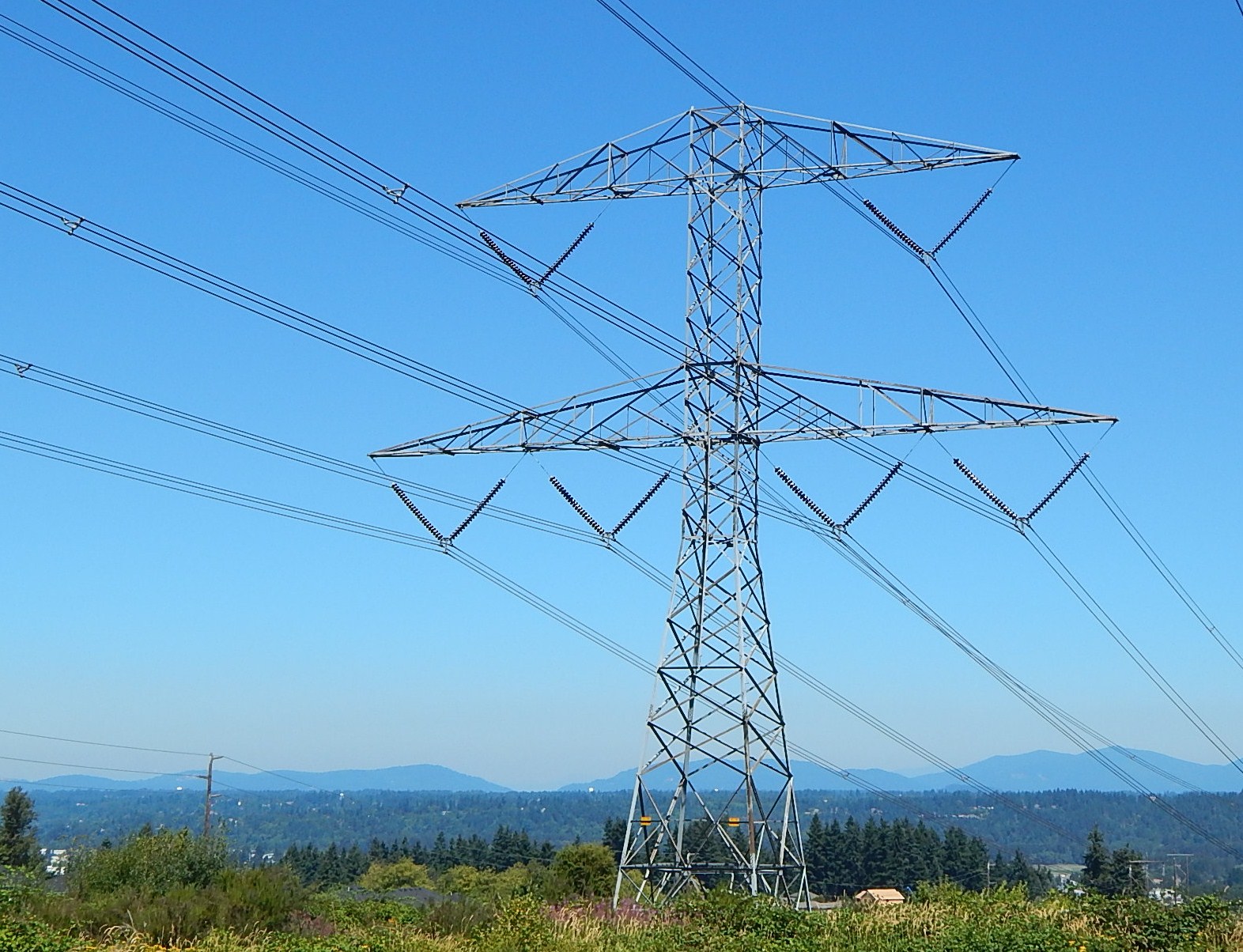A steel transmission tower and power lines against a blue sky, with Puget Sound hills behind